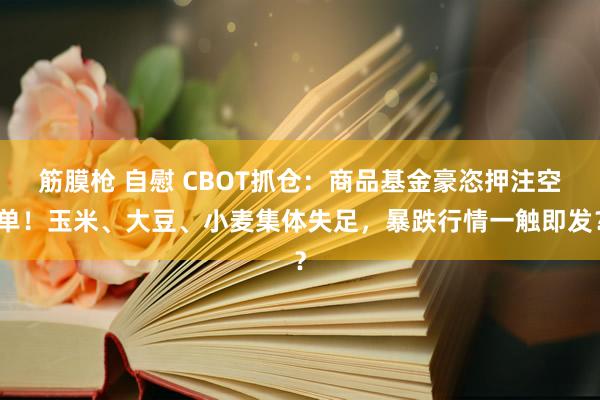 筋膜枪 自慰 CBOT抓仓：商品基金豪恣押注空单！玉米、大豆、小麦集体失足，暴跌行情一触即发？