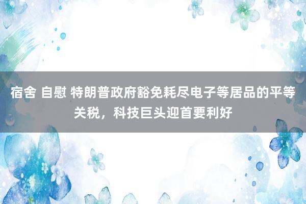 宿舍 自慰 特朗普政府豁免耗尽电子等居品的平等关税，科技巨头迎首要利好