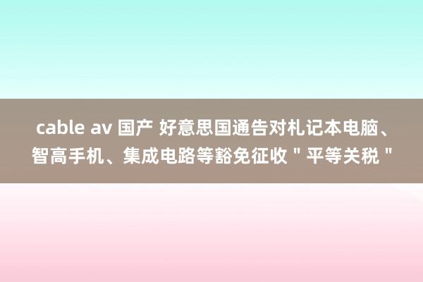 cable av 国产 好意思国通告对札记本电脑、智高手机、集成电路等豁免征收＂平等关税＂