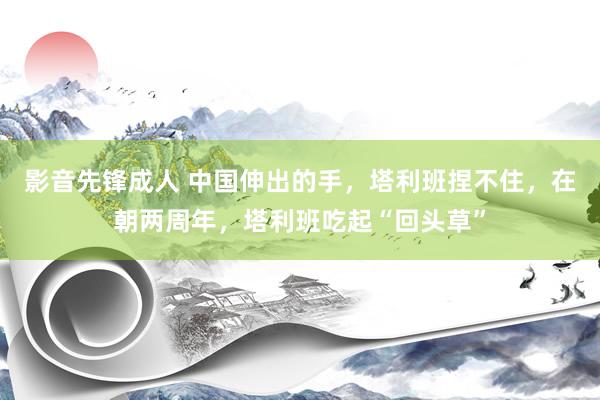 影音先锋成人 中国伸出的手，塔利班捏不住，在朝两周年，塔利班吃起“回头草”