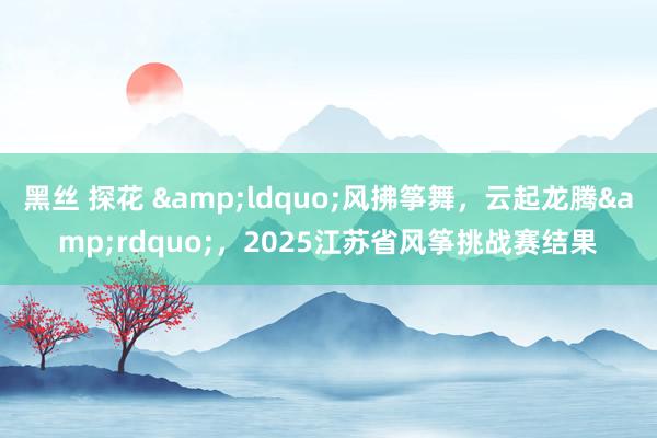 黑丝 探花 &ldquo;风拂筝舞，云起龙腾&rdquo;，2025江苏省风筝挑战赛结果
