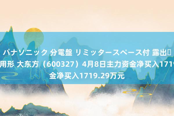パナソニック 分電盤 リミッタースペース付 露出・半埋込両用形 大东方（600327）4月8日主力资金净买入1719.29万元
