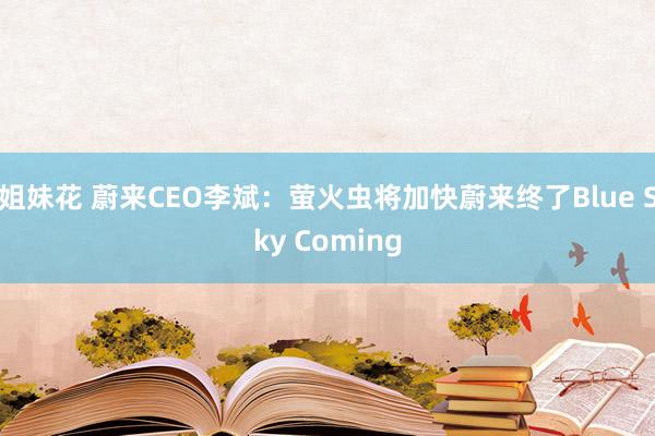 姐妹花 蔚来CEO李斌：萤火虫将加快蔚来终了Blue Sky Coming