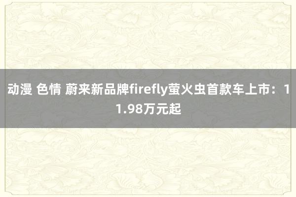 动漫 色情 蔚来新品牌firefly萤火虫首款车上市：11.98万元起