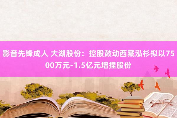 影音先锋成人 大湖股份：控股鼓动西藏泓杉拟以7500万元-1.5亿元增捏股份