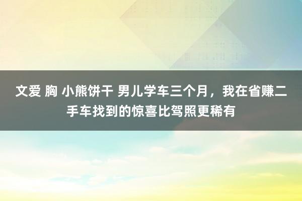文爱 胸 小熊饼干 男儿学车三个月，我在省赚二手车找到的惊喜比驾照更稀有
