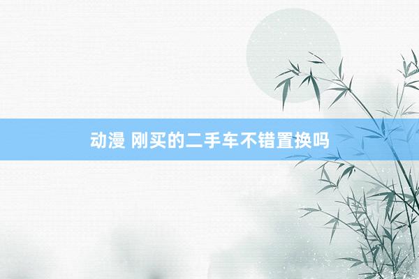 动漫 刚买的二手车不错置换吗