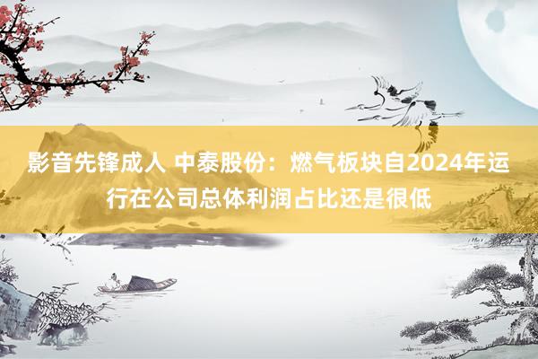 影音先锋成人 中泰股份：燃气板块自2024年运行在公司总体利润占比还是很低