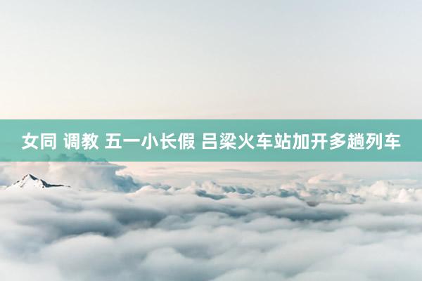 女同 调教 五一小长假 吕梁火车站加开多趟列车