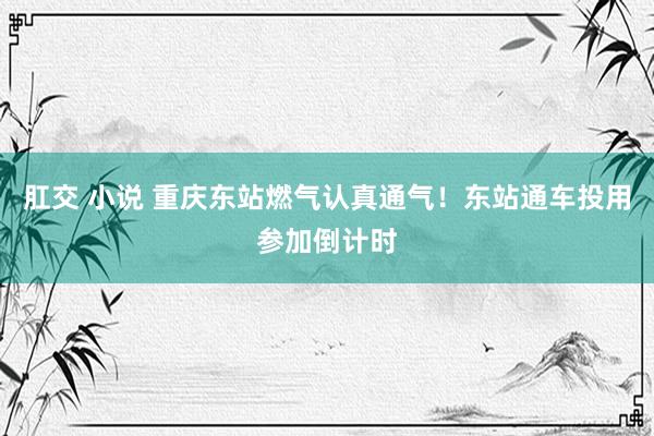 肛交 小说 重庆东站燃气认真通气！东站通车投用参加倒计时